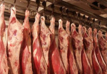 Қозоғистон Қирғизистонга гўшт ва сутни транспортнинг барча тури билан ташиб ўтказишга руҳсат берди