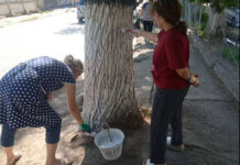 Кўча супуриш дарси. Ҳукумат қандай қилиб ўқитувчиларнинг обрўсини тўкмоқда?